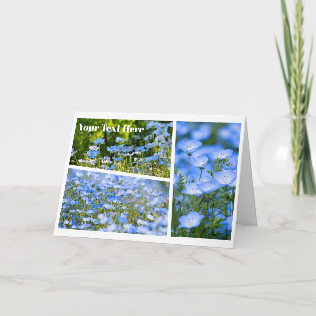 Tarjeta NEMOPHILA（Baby Blue Eyes） (Anverso)