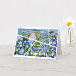 Tarjeta NEMOPHILA（Baby Blue Eyes）