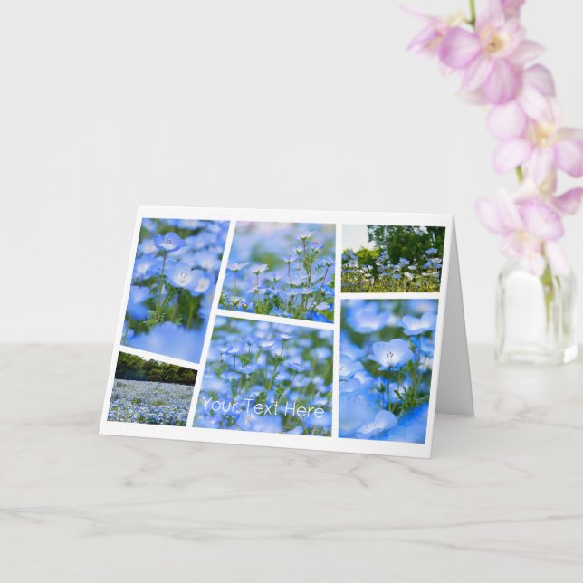 Tarjeta NEMOPHILA（Baby Blue Eyes） (Orquídea)