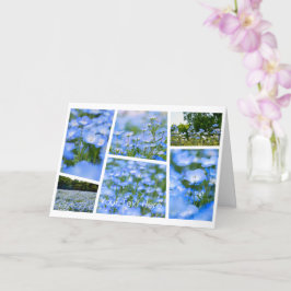 Tarjeta NEMOPHILA（Baby Blue Eyes）