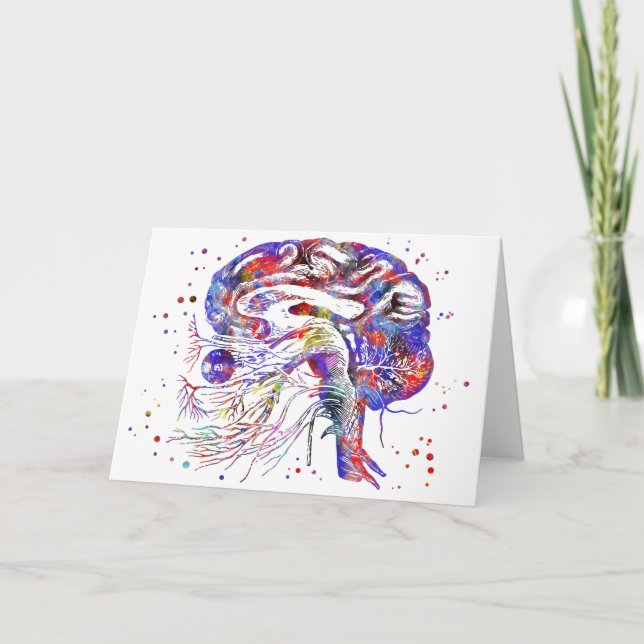 Tarjeta Nervios craneales del cerebro, nervios craneales (Anverso)