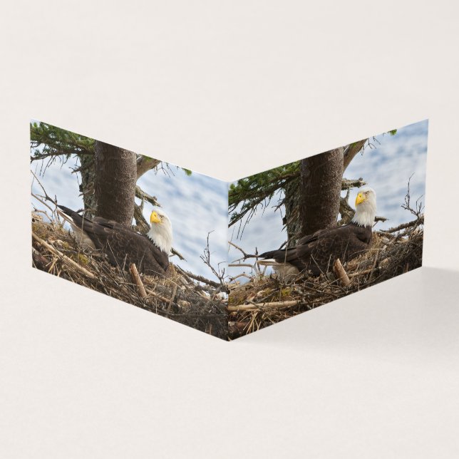 Tarjeta Nesting Bald Eagle (Exterior)