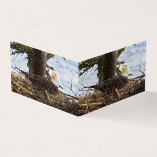Tarjeta Nesting Bald Eagle
