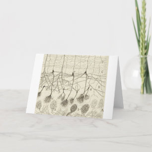 Tarjeta Neuronas de cajal 8