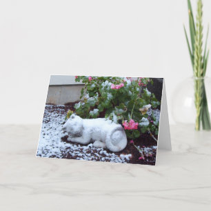 Tarjeta nevada del gato