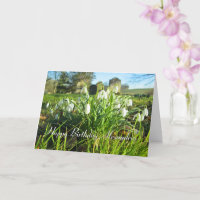 Nevadas al sol - Cumpleaños personalizado