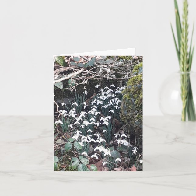 Tarjeta Nevadas de primavera (Anverso)
