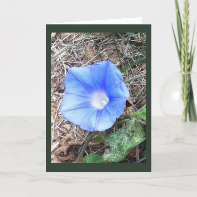 Tarjeta New Blue Morning Glory Blank (Anverso)