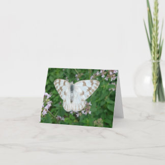 Tarjeta New Day Gardens Notecard - Blanco controlado