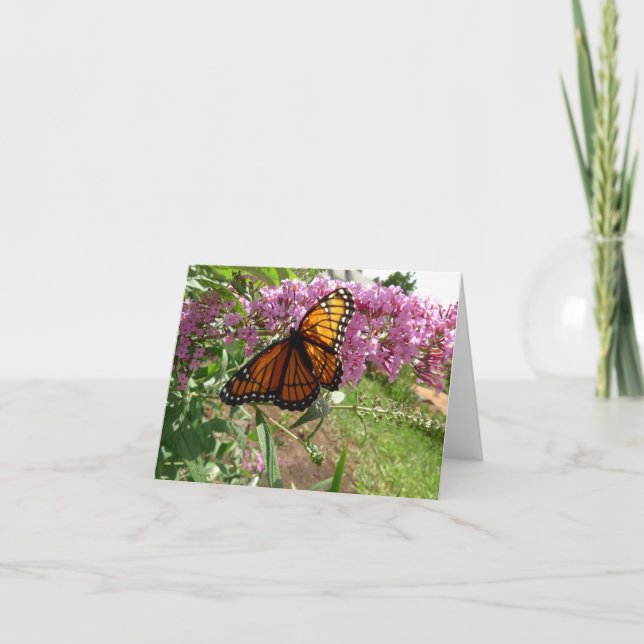 Tarjeta New Day Gardens Notecard- Mariposa Viceroy (Anverso)