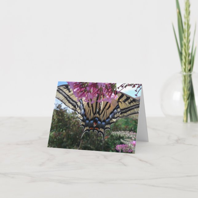 Tarjeta New Day Gardens Notecard - Western Swallotail Unde (Anverso)