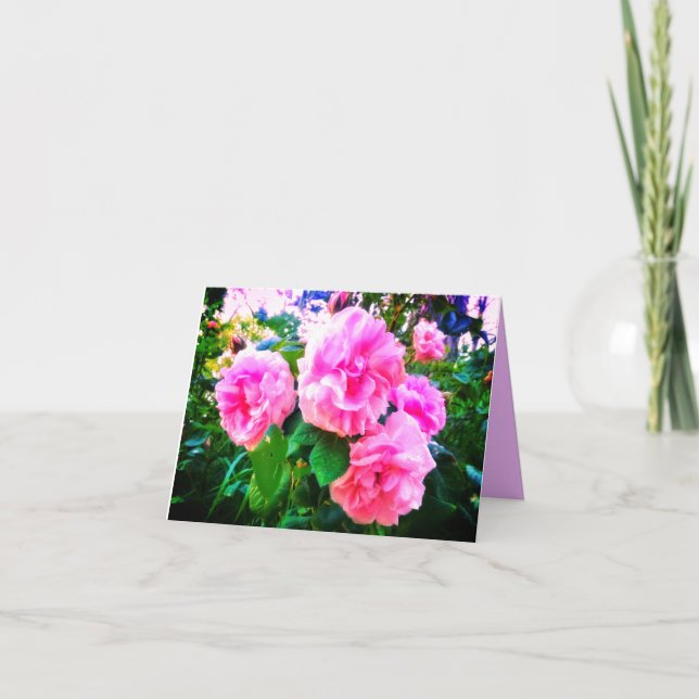 TARJETA NEW! PINK ROSES GREETING CARD (Anverso)