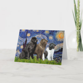 Tarjeta Newfie Trio - Noche estrellada