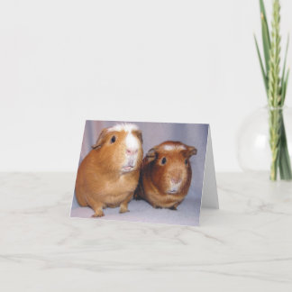 Tarjeta Newton y Skeeter Notecard