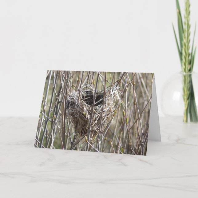 Tarjeta Nido pequeño (Anverso)