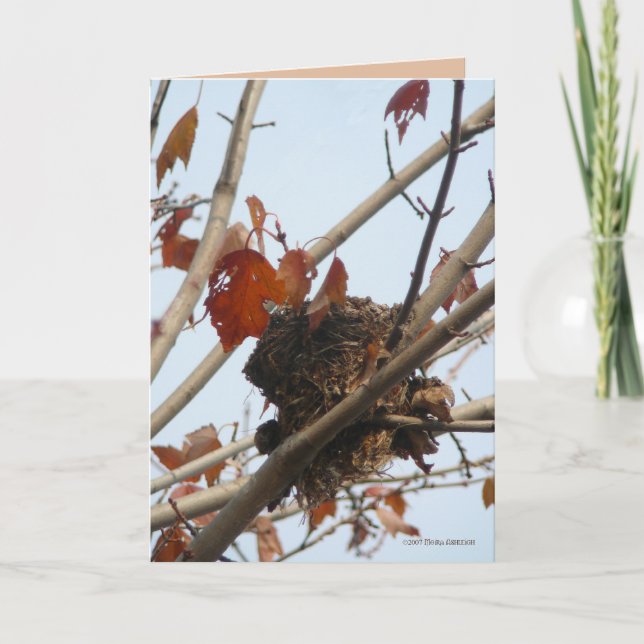 Tarjeta Nido revelado (Anverso)