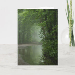 Tarjeta Niebla en el bosque