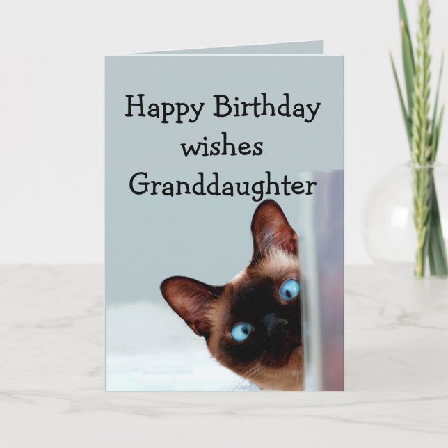 Tarjeta Nieta divertida Cumpleaños desea un Gato Siamés (Anverso)