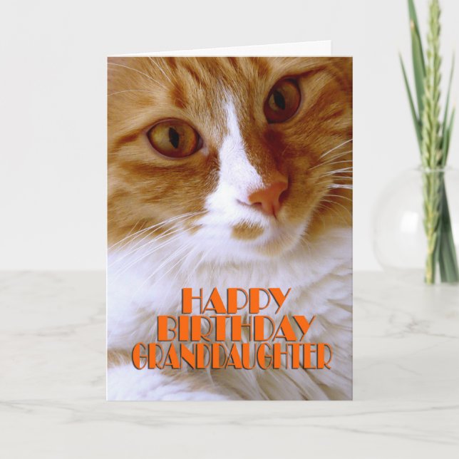 Tarjeta Nieta feliz cumpleaños - Gato dulce (Anverso)