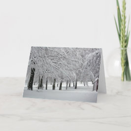 Tarjeta nieve
