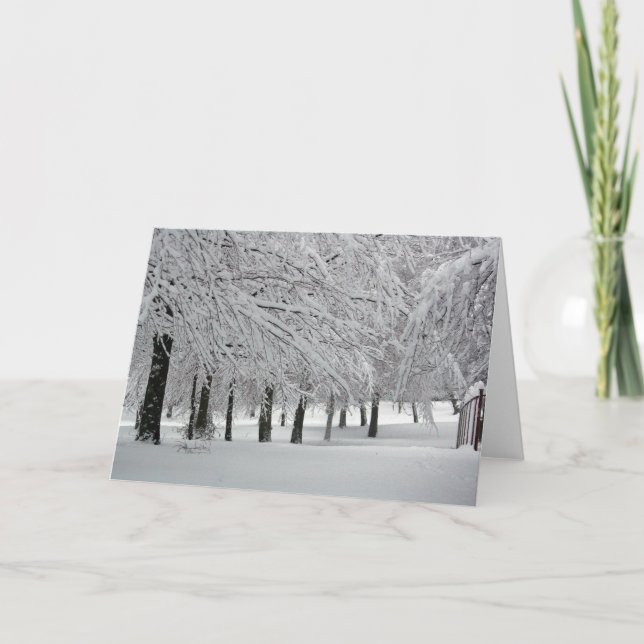 Tarjeta nieve (Anverso)
