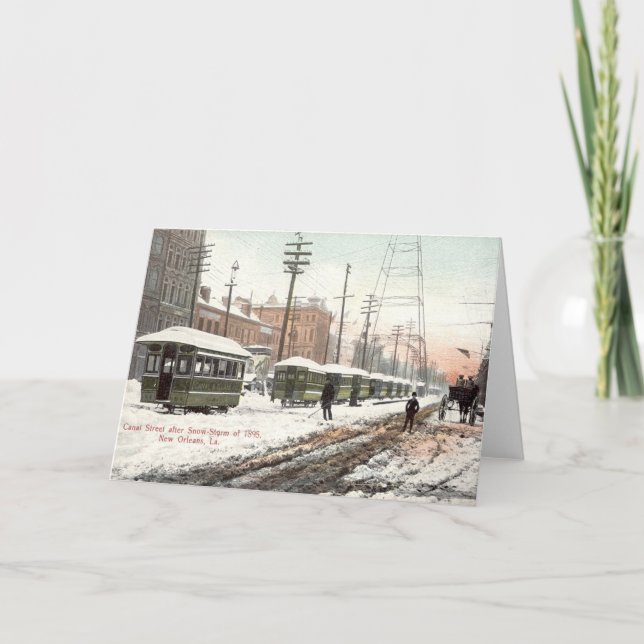 Tarjeta Nieve 1895 del St del canal de New Orleans (Anverso)