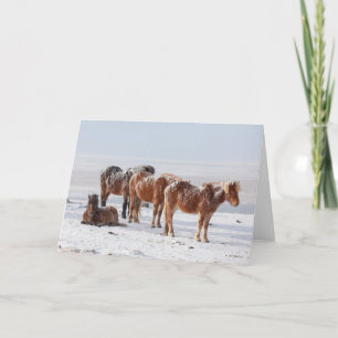 Tarjeta Nieve cubierta de caballos islandeses