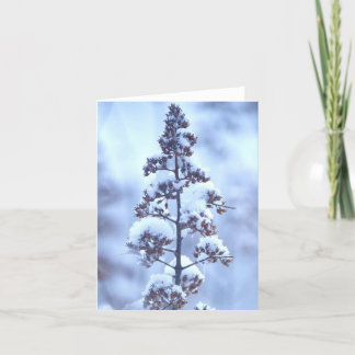 Tarjeta Nieve de abril