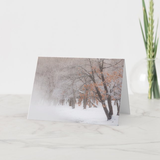 Tarjeta Nieve de invierno | Lago Kussharo (Anverso)