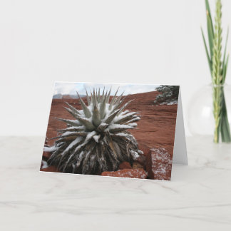 Tarjeta Nieve de la primavera en Sedona