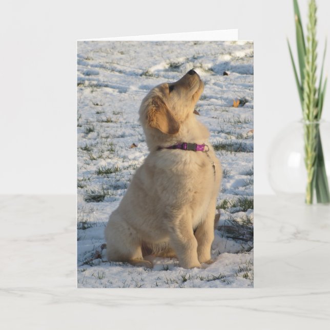 Tarjeta Nieve dorada (Anverso)