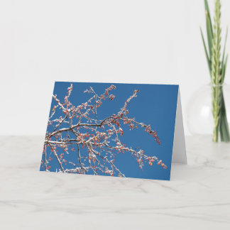 Tarjeta Nieve en el crabapple
