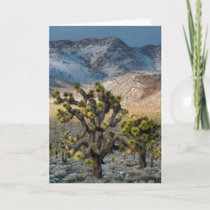 Tarjeta Nieve en el Valle de la Muerte