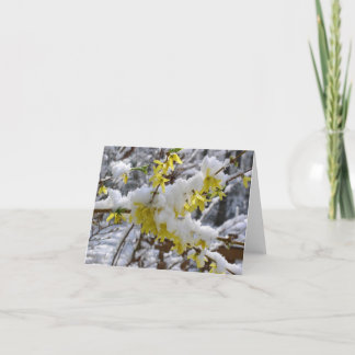 Tarjeta Nieve Notecard de la primavera