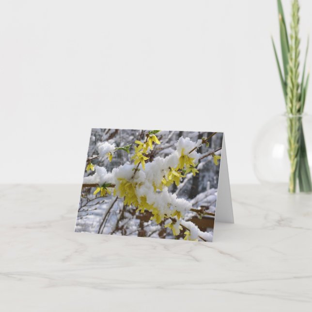 Tarjeta Nieve Notecard de la primavera (Anverso)