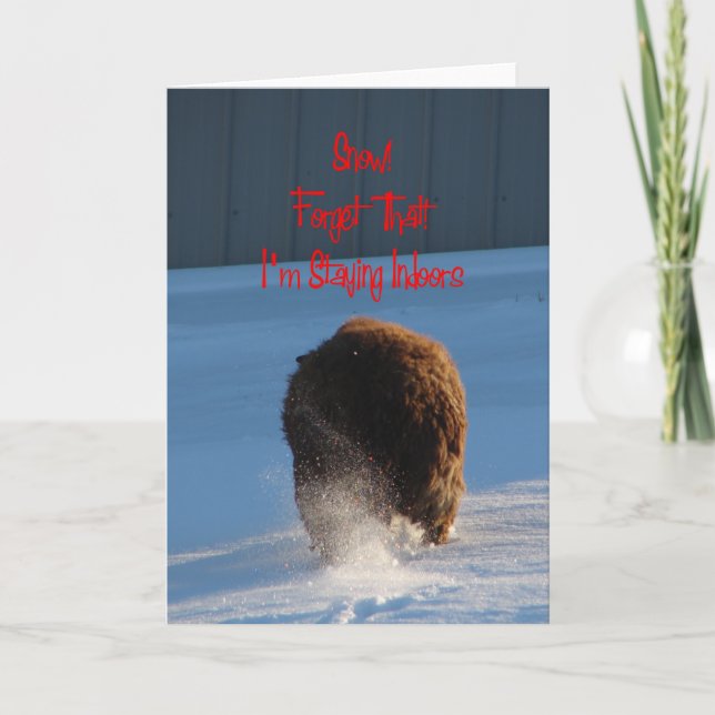 Tarjeta Nieve! ¡Olvídalo! Me quedo en casa, oveja (Anverso)