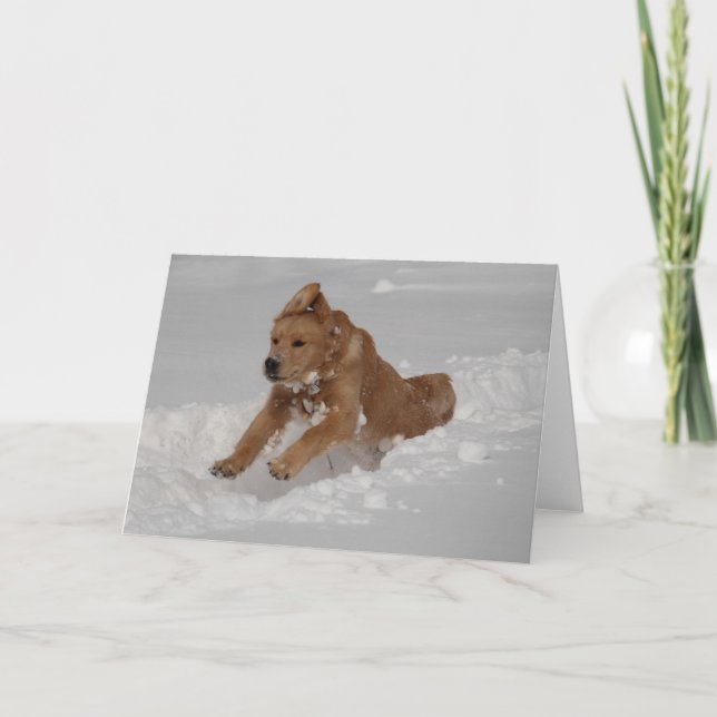 Tarjeta ¡Nieve Placa! (Anverso)