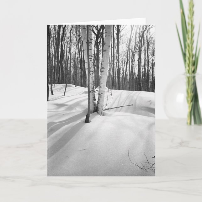 Tarjeta Nieve y abedules blancos (Anverso)