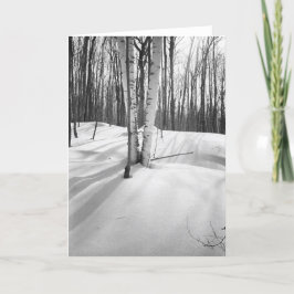 Tarjeta Nieve y abedules blancos