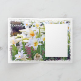 Tarjeta Nilo de Pascua [tarjeta de saludo] カ ド