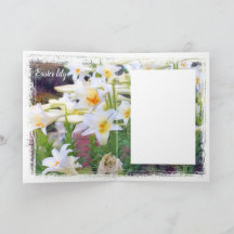 Nilo de Pascua [tarjeta de saludo] カ ド