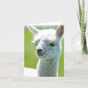 Tarjeta Niña blanca