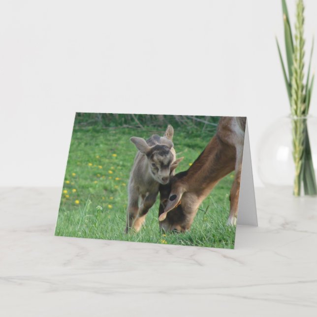 Tarjeta Niñera y niño (Anverso)