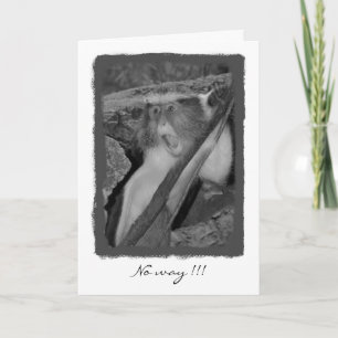 Tarjeta ¡Ninguna manera, cumpleaños!