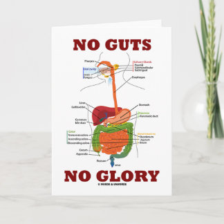 Tarjeta Ninguna tripa ninguna gloria (humor de la anatomía