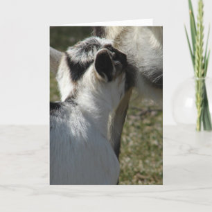 Tarjeta Niño de cabra bebe leche, Día de la Madre