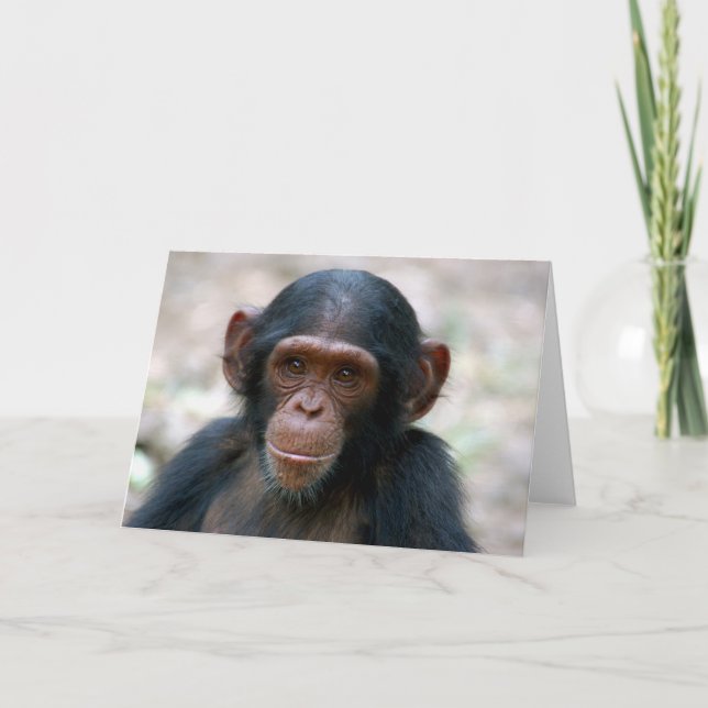 Tarjeta Niño Pequeño (Anverso)