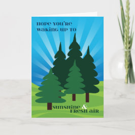 Tarjeta Niños en los árboles de la sol del campamento de