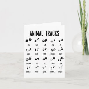 Tarjeta Niños Explorador Naturaleza Seguimiento De Animale