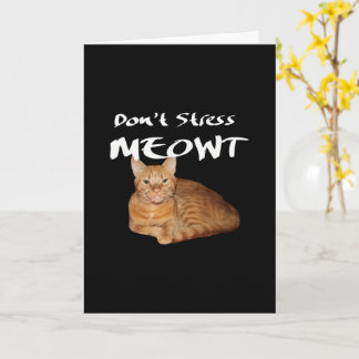 Tarjeta No enfades a Meowt - un gato Naranja me estresa